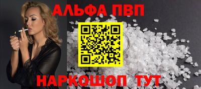 гашик Кингисепп