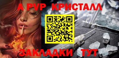 гашик Кингисепп