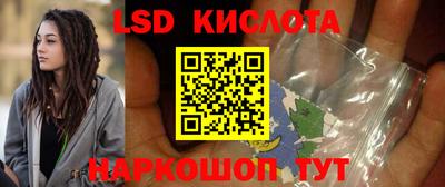 гашик Кингисепп