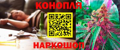 гашик Кингисепп