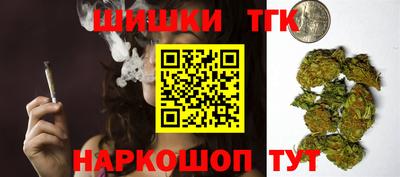 гашик Кингисепп
