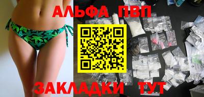 гашик Кингисепп