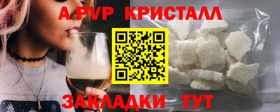 гашик Кингисепп