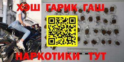 гашик Кингисепп