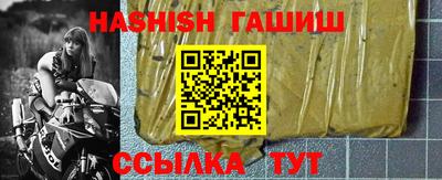 гашик Кингисепп