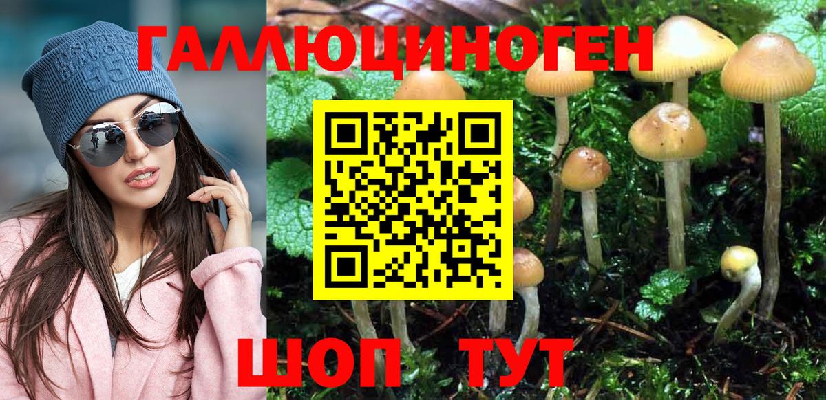 Галлюциногенные грибы Magic Shrooms  Вход с VPN  Крымск 